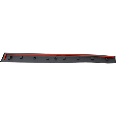 Driver Side Front Door Side Molding - CH1304113 pa2