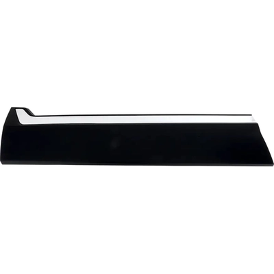 Driver Side Front Door Side Molding - HO1304109 pa2
