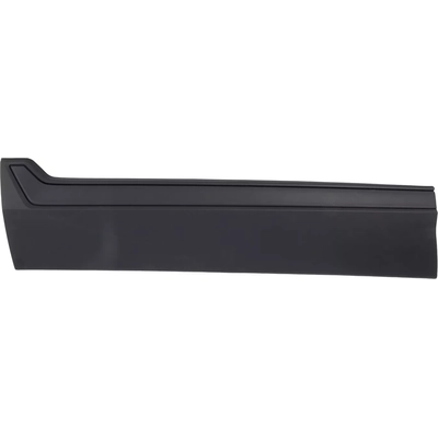 Driver Side Front Door Side Molding - HO1304110 pa1