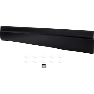 Driver Side Front Door Side Molding - HO1304112 pa1