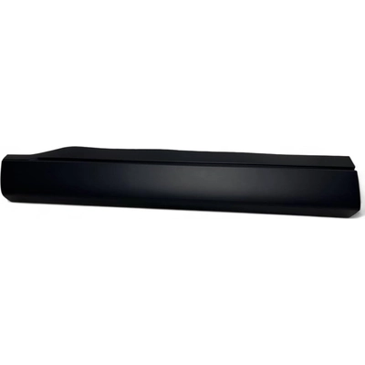 Driver Side Front Door Side Molding - HO1304113 pa1
