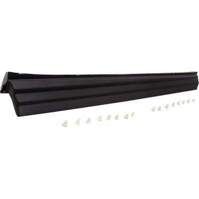 Driver Side Front Door Side Molding - LX1304101 pa1