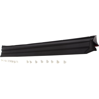 Driver Side Front Door Side Molding - LX1304101 pa2