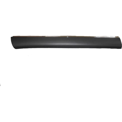 Driver Side Front Door Side Molding - LX1304102 pa1