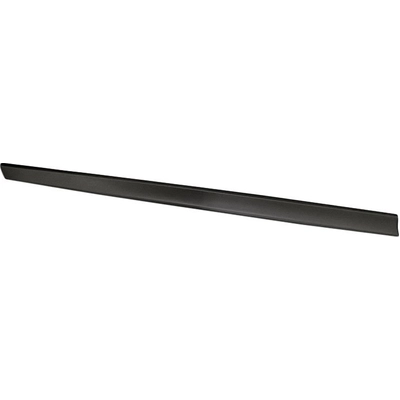 Driver Side Front Door Side Molding - NI1304101 pa1