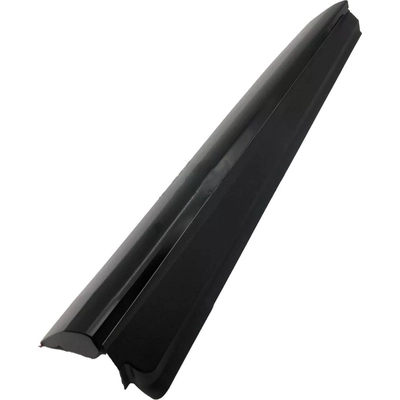 Driver Side Front Door Side Molding - TO1304112 pa1