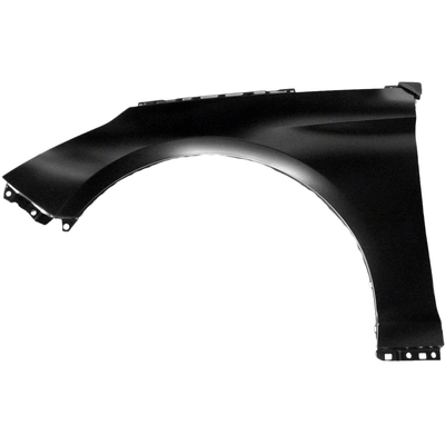 Driver Side Front Fender Assembly - HY1240161 pa1