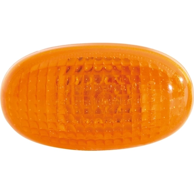 Driver Side Front Signal Lamp - GM2530131 pa1