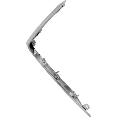 Driver Side Grille Molding - LX1212107 pa1