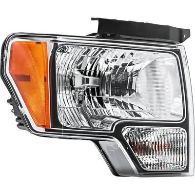 Driver Side Headlamp Assembly Composite - FO2502287 pa3