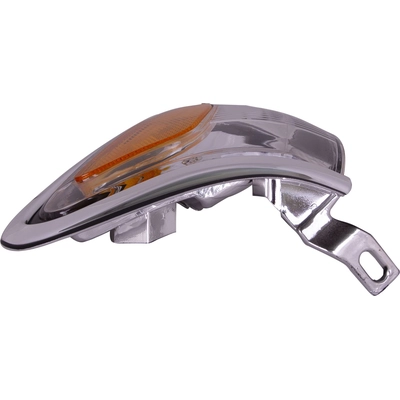Driver Side Parklamp Assembly by DEPO - 312-1547L-AS1 pa2