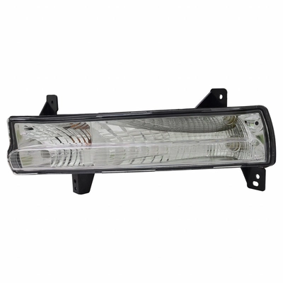Driver Side Parklamp Assembly by DEPO - 333-1638L-AS pa1