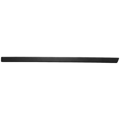 SHERMAN PARTS - 0054B-041-1 - Rear Driver Side Door Molding pa1