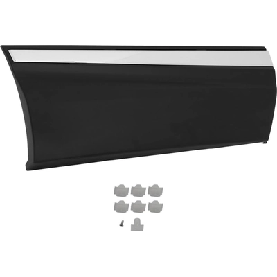 Driver Side Rear Door Side Molding - HO1504109 pa1