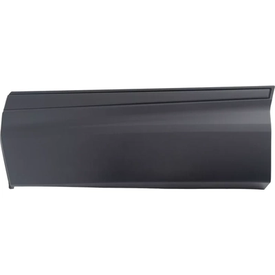 Driver Side Rear Door Side Molding - HO1504110 pa1