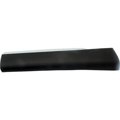 Driver Side Rear Door Side Molding - LX1504102 pa1