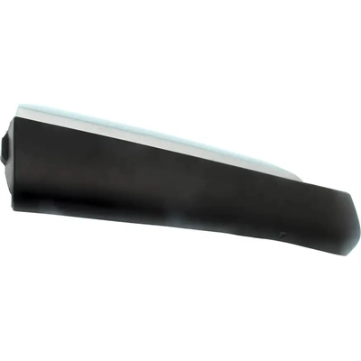Driver Side Rear Door Side Molding - LX1504102 pa2