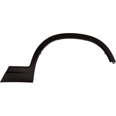 Driver Side Rear Wheel Opening Molding - HO1790110 pa2
