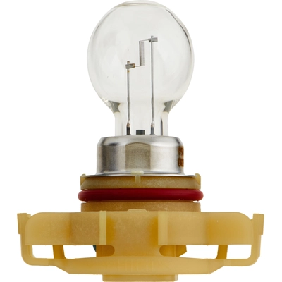 Lumière de conduite et antibrouillard by PHILIPS - 12086FFB1 pa9