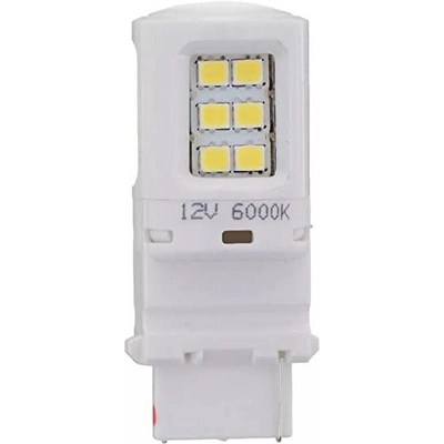 Driving And Fog Light by PHILIPS - 3156WLED pa50