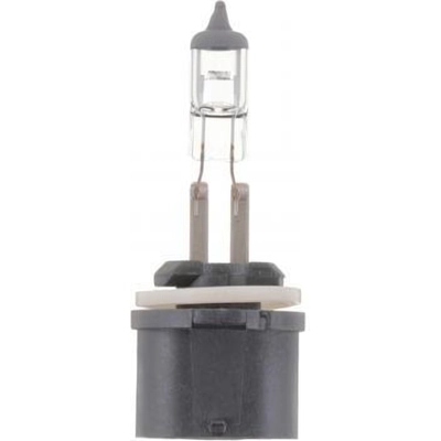 Driving And Fog Light by PHILIPS - 893B1 pa12