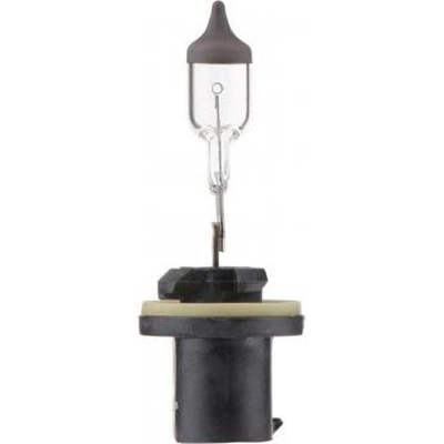 Driving And Fog Light by PHILIPS - 899B1 pa23