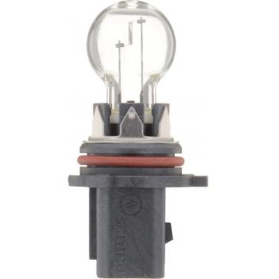 PHILIPS - P13WC1 - Daytime Running Light Bulb pa2