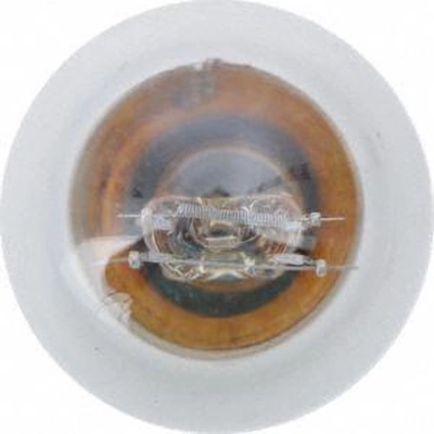 Driving And Fog Light by PHILIPS - P21/4WB2 pa31