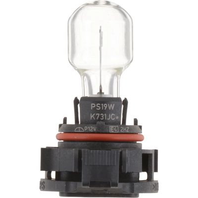 Driving And Fog Light by PHILIPS - PS19WB1 pa11