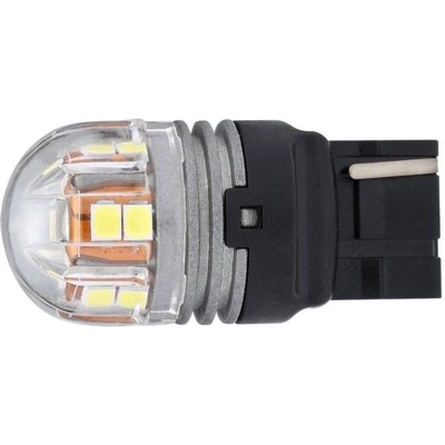 Lumière de conduite et antibrouillard par PUTCO LIGHTING - C7440A pa1