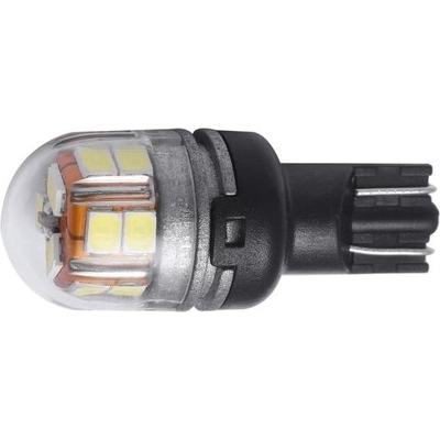 Driving And Fog Light by PUTCO LIGHTING - C921A pa1