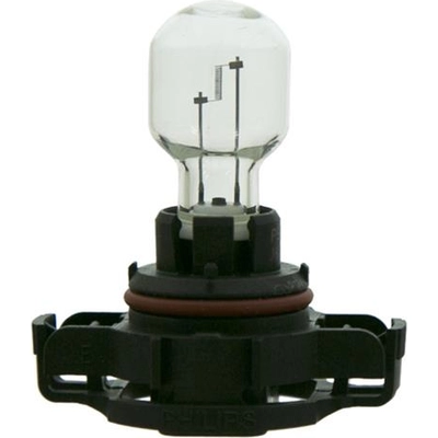 Driving And Fog Light (Pack of 6) by WAGNER - 5201 pa1