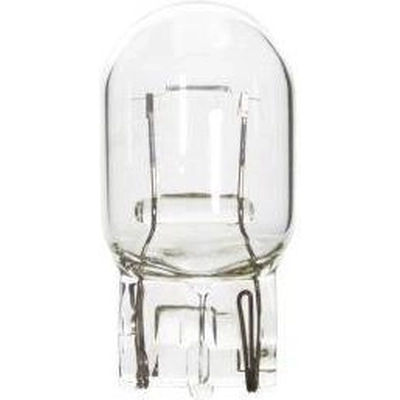Driving And Fog Light by WAGNER - BP7440 pa10