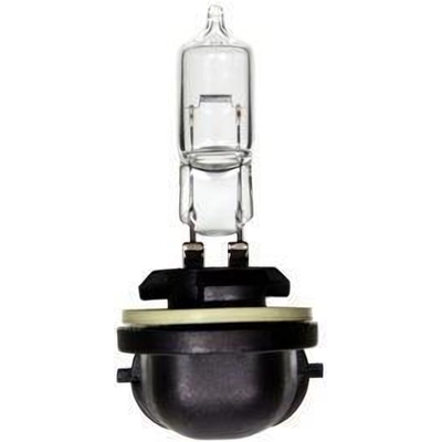 Driving And Fog Light by WAGNER - BP889 pa23