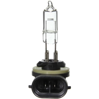 Lumière de conduite et antibrouillard de WAGNER - BP894 pa14