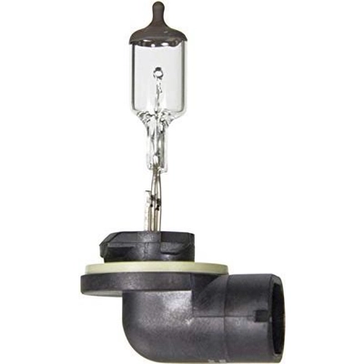 Lumière de conduite et antibrouillard de WAGNER - BP898 pa24