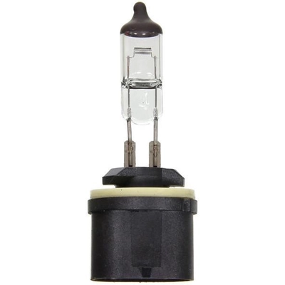 Lumière de conduite et antibrouillard de WAGNER - BP899 pa10