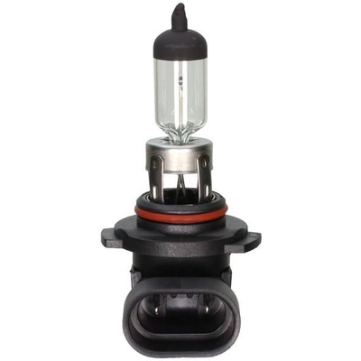 Lumière de conduite et antibrouillard de WAGNER - BP9045 pa13
