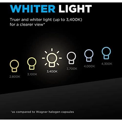 Dual Beam Headlight by WAGNER - BP9004BLX2 pa10