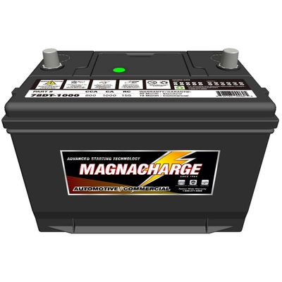 MAGNACHARGE BATTERY - MS78DT-1000 - Automotive Starting Dual Terminal (Top/Side)-12 Volt pa3