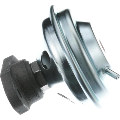 BLUE STREAK (HYGRADE MOTOR) - EGV244 - Exhaust Gas Recirculation Valve pa4