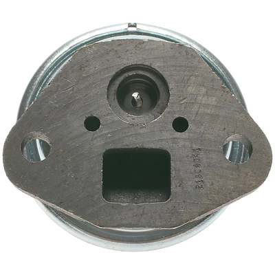 BLUE STREAK (HYGRADE MOTOR) - EGV329 - EGR Valve pa1