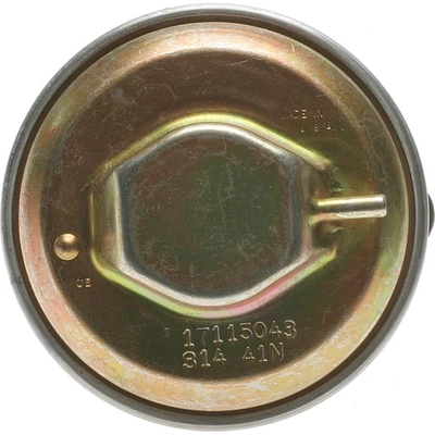 EGR Valve by BLUE STREAK (HYGRADE MOTOR) - EGV380 pa6