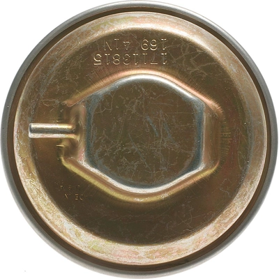 EGR Valve by BLUE STREAK (HYGRADE MOTOR) - EGV387 pa5