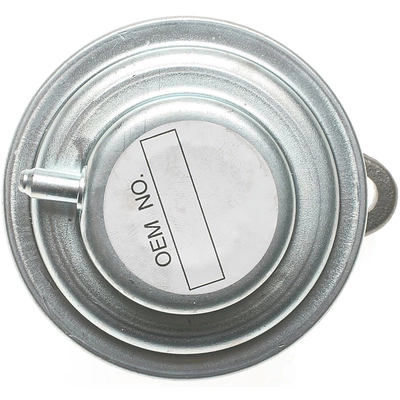 BLUE STREAK (HYGRADE MOTOR) - EGV398 - Vanne EGR pa1