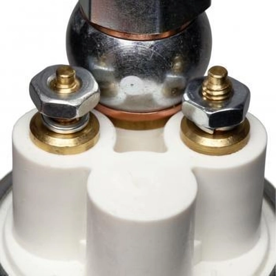 Electric Fuel Pump by DELPHI - FD0011 pa33