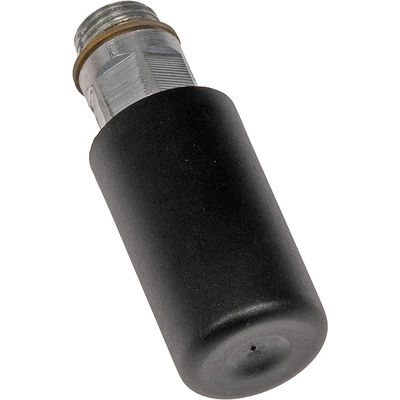 DORMAN - 904-7925 - Diesel Primer Pump pa1