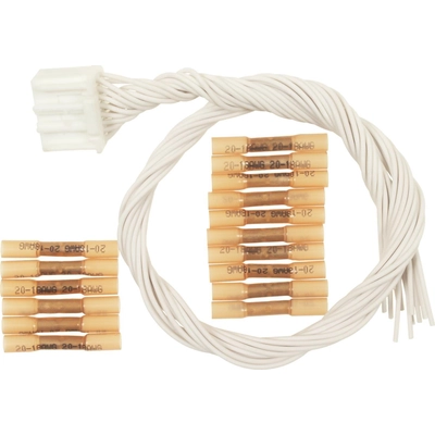 Connecteur de miroir électrique de BLUE STREAK (HYGRADE MOTOR) - S1244 pa1