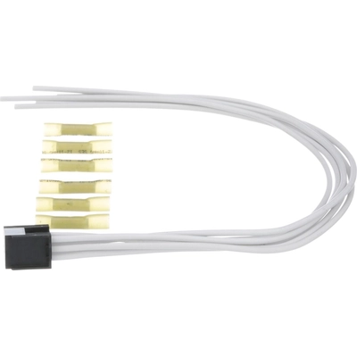 BLUE STREAK (HYGRADE MOTOR) - S1700 - Front Door Lock Module Connector pa7