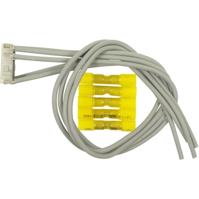 Electric Window Connector by BLUE STREAK (HYGRADE MOTOR) - S1644 pa6